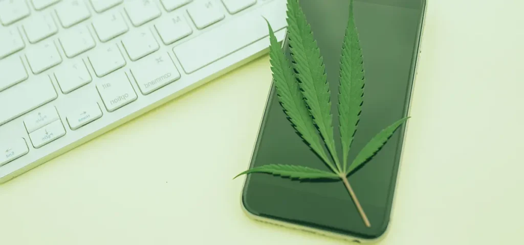 cannabis SEO